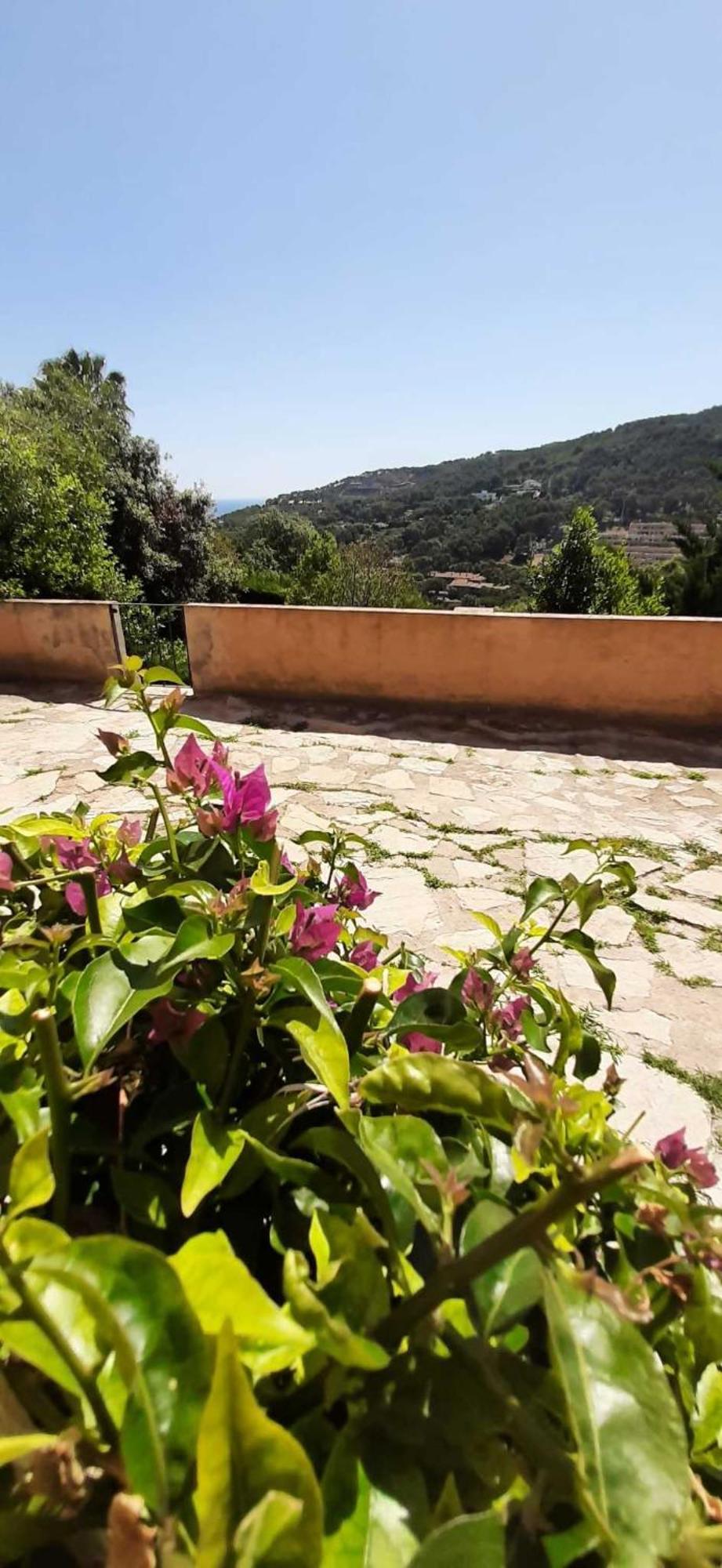 Appartamento Corti-Mori Sa Riera Begur Esterno foto